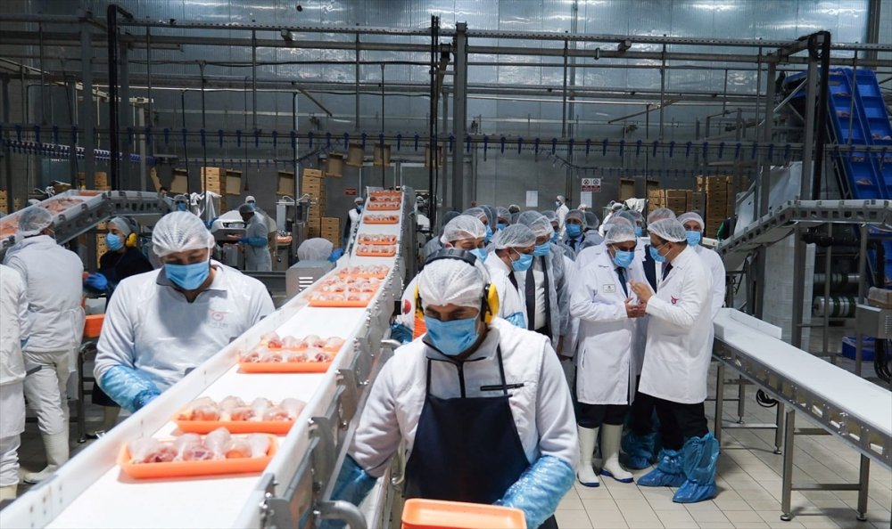 Sanayi ve Teknoloji Bakanı M. Fatih Kacır, Erzincan Tavuk Kombinası'nı ziyaret etti