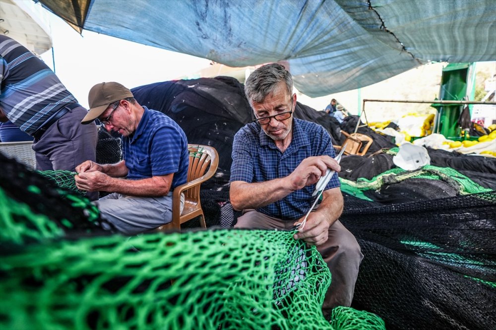Güney Marmara ve Kuzey Ege'deki balıkçılar "vira bismillah" için hazır