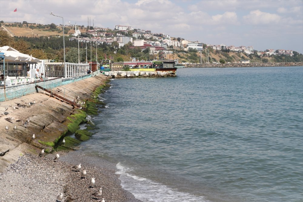 Poyraz Etkidini yitirince Tekirdağ'da deniz ulaşımı normale döndü
