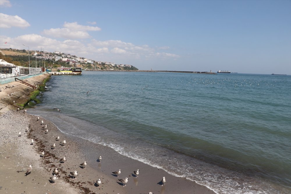Poyraz Etkidini yitirince Tekirdağ'da deniz ulaşımı normale döndü