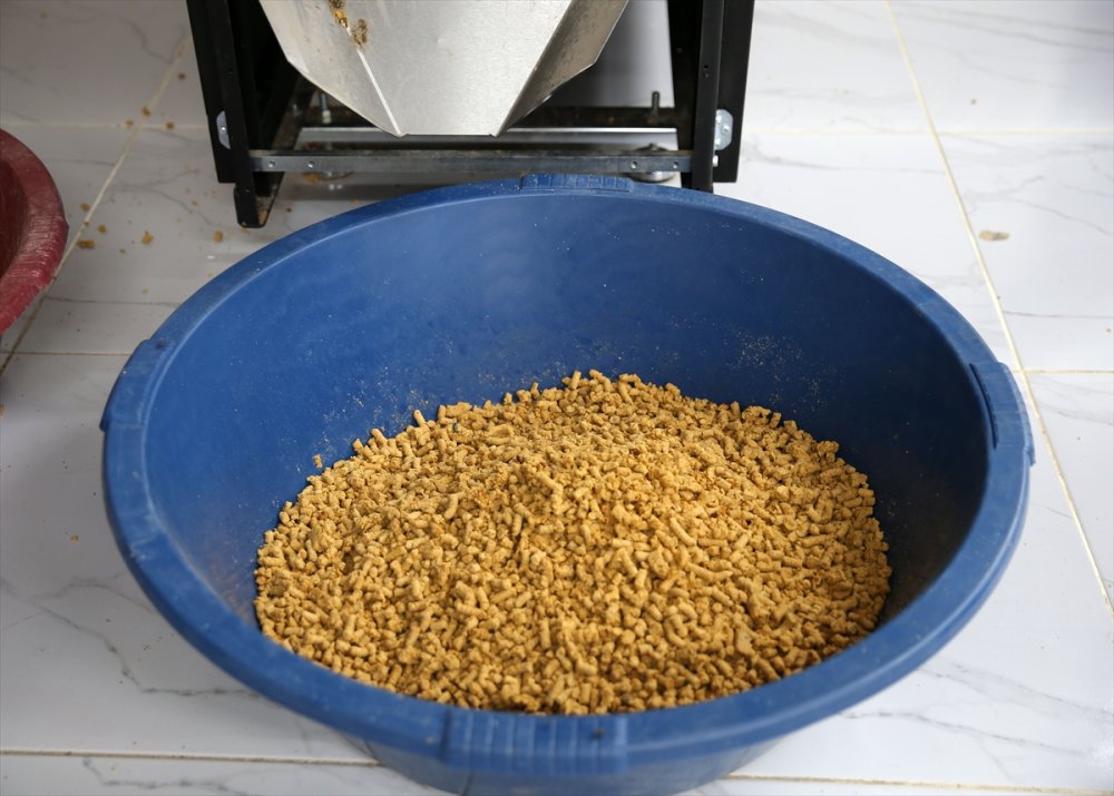 Bitlis'te "can dostlar" için doğal yaşam alanı oluşturuldu