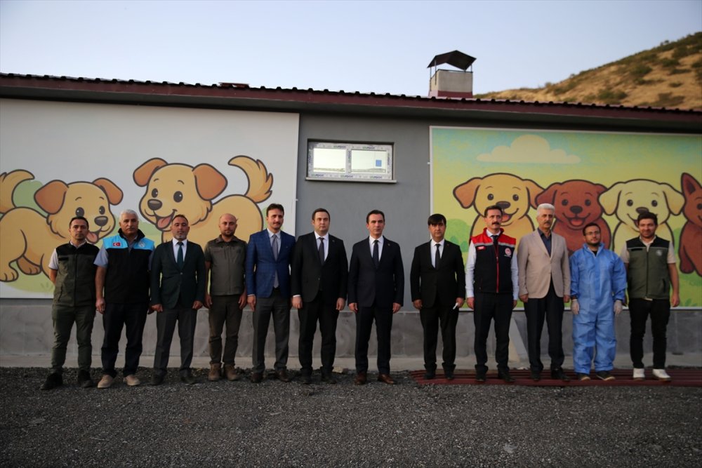 Bitlis'te "can dostlar" için doğal yaşam alanı oluşturuldu