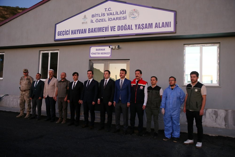 Bitlis'te "can dostlar" için doğal yaşam alanı oluşturuldu