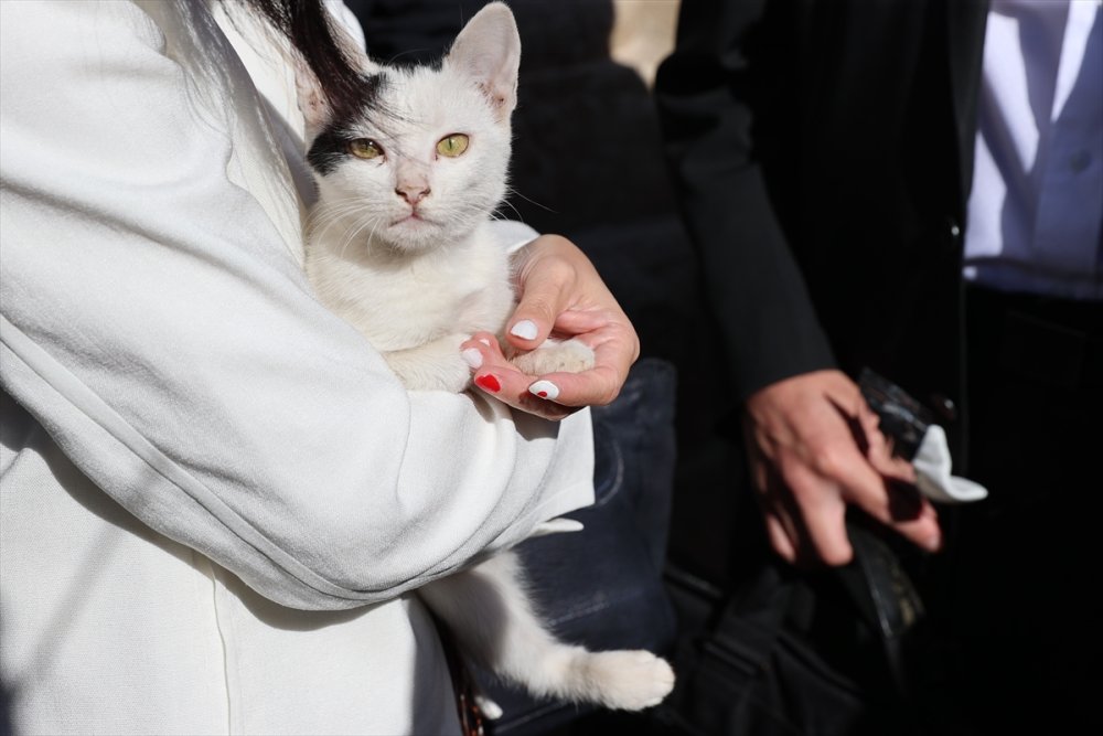 Japonya Prensesi Akiko Mikasa, Balıklıgöl'ü ziyaret etti
