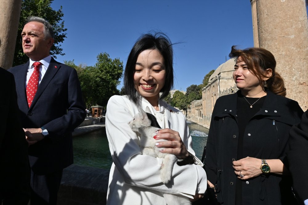 Japonya Prensesi Akiko Mikasa, Balıklıgöl'ü ziyaret etti