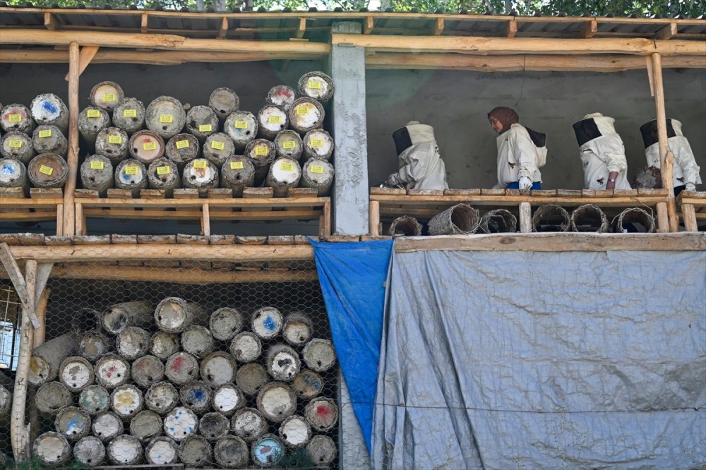 Devlet desteğiyle arıcılığa başlayan kadınlar merada kara kovan balı üretiyor