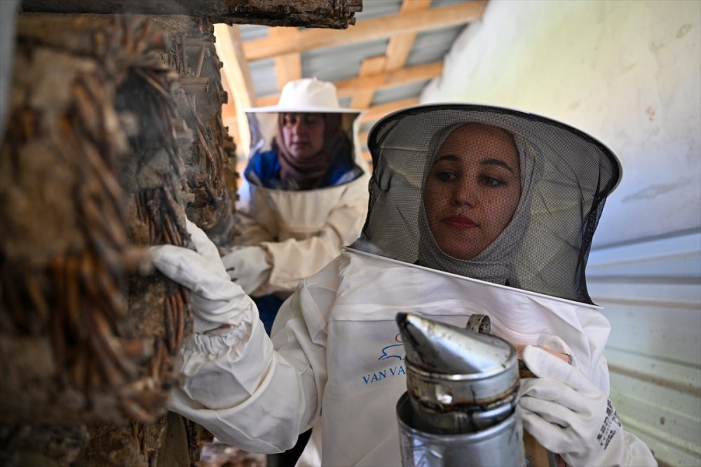 Devlet desteğiyle arıcılığa başlayan kadınlar merada kara kovan balı üretiyor