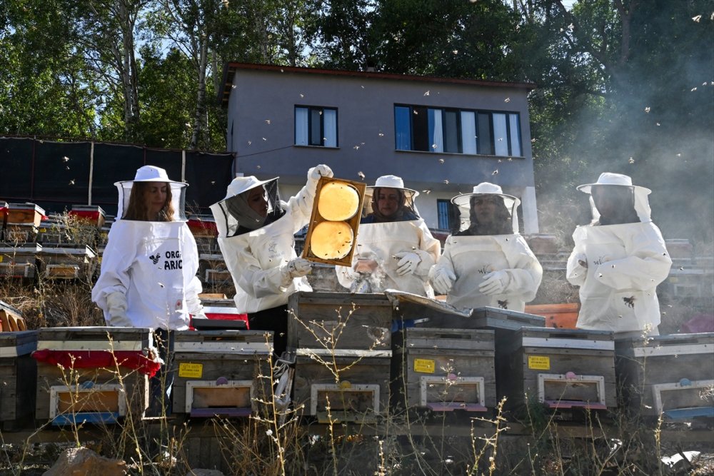 Devlet desteğiyle arıcılığa başlayan kadınlar merada kara kovan balı üretiyor