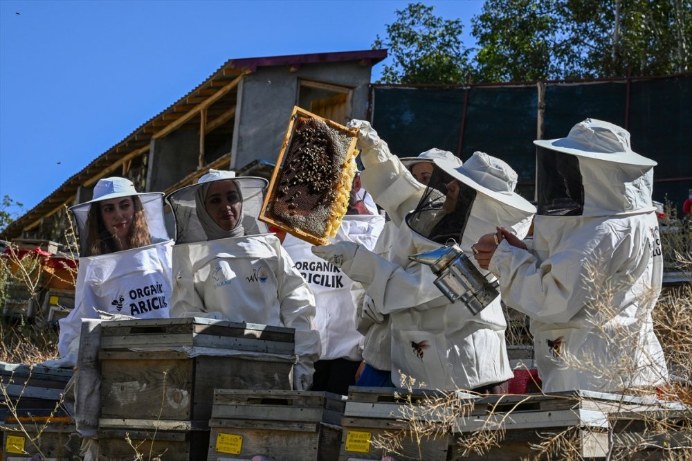 Devlet desteğiyle arıcılığa başlayan kadınlar merada kara kovan balı üretiyor