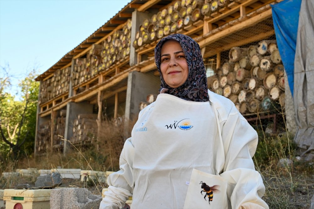 Devlet desteğiyle arıcılığa başlayan kadınlar merada kara kovan balı üretiyor