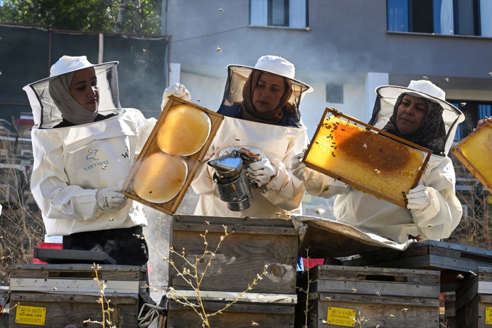 Devlet desteğiyle arıcılığa başlayan kadınlar merada kara kovan balı üretiyor
