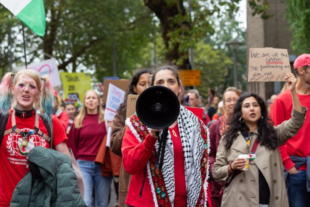 Hollanda'da yaklaşık 250 bin kişi, hükümetin İsrail politikasını protesto etti