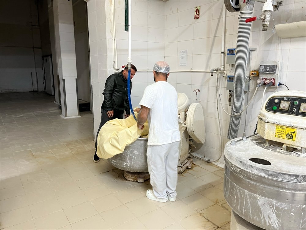 Denizli'de belediyenin ekmek fabrikasında fare gezdiği iddiasıyla denetim gerçekleştirildi