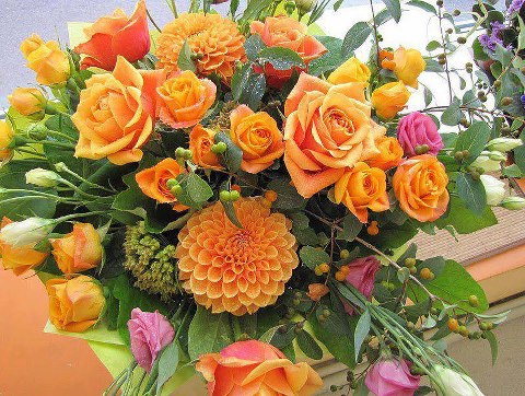 581931_604302739595770_1749051511_n.jpg 581931_604302739595770_1749051511_n.jpg