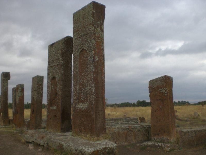 cimg8674.jpg cimg8674.jpg