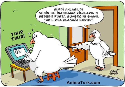 image004.jpg image004.jpg