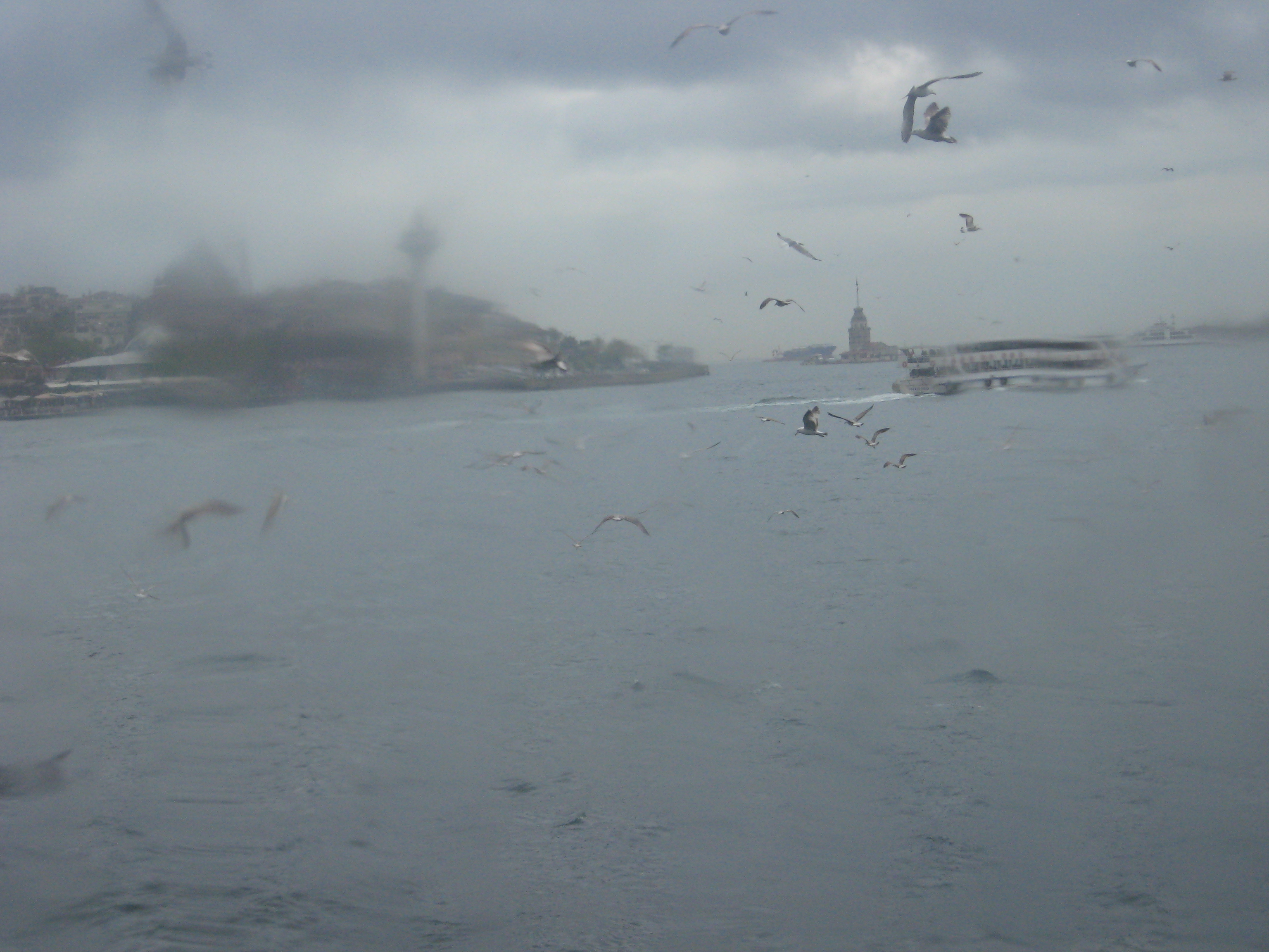 img_3151.jpg img_3151.jpg