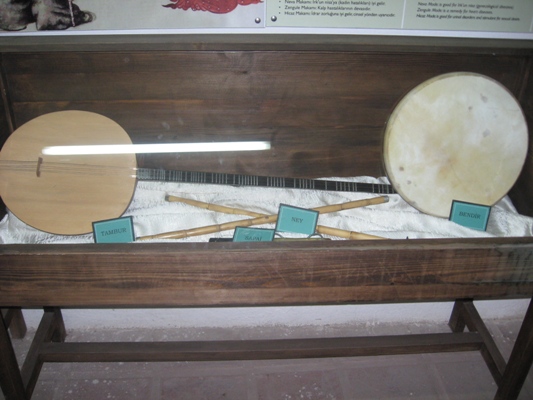 img_3329.jpg img_3329.jpg