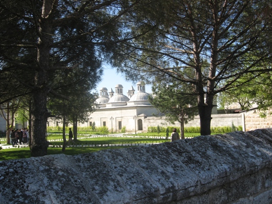 img_3342.jpg img_3342.jpg