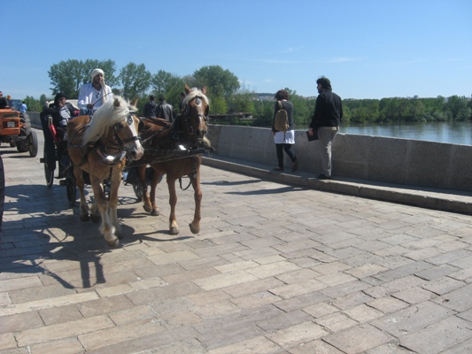 img_3367.jpg img_3367.jpg