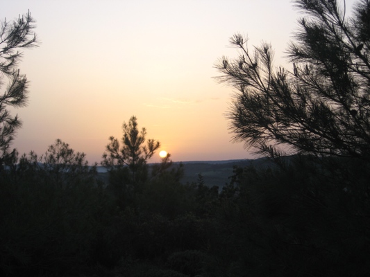 img_3509.20120709213501.jpg img_3509.20120709213501.jpg