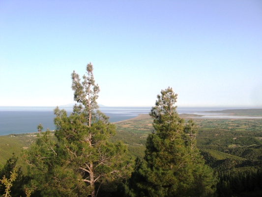 img_3515.20120709213547.jpg img_3515.20120709213547.jpg