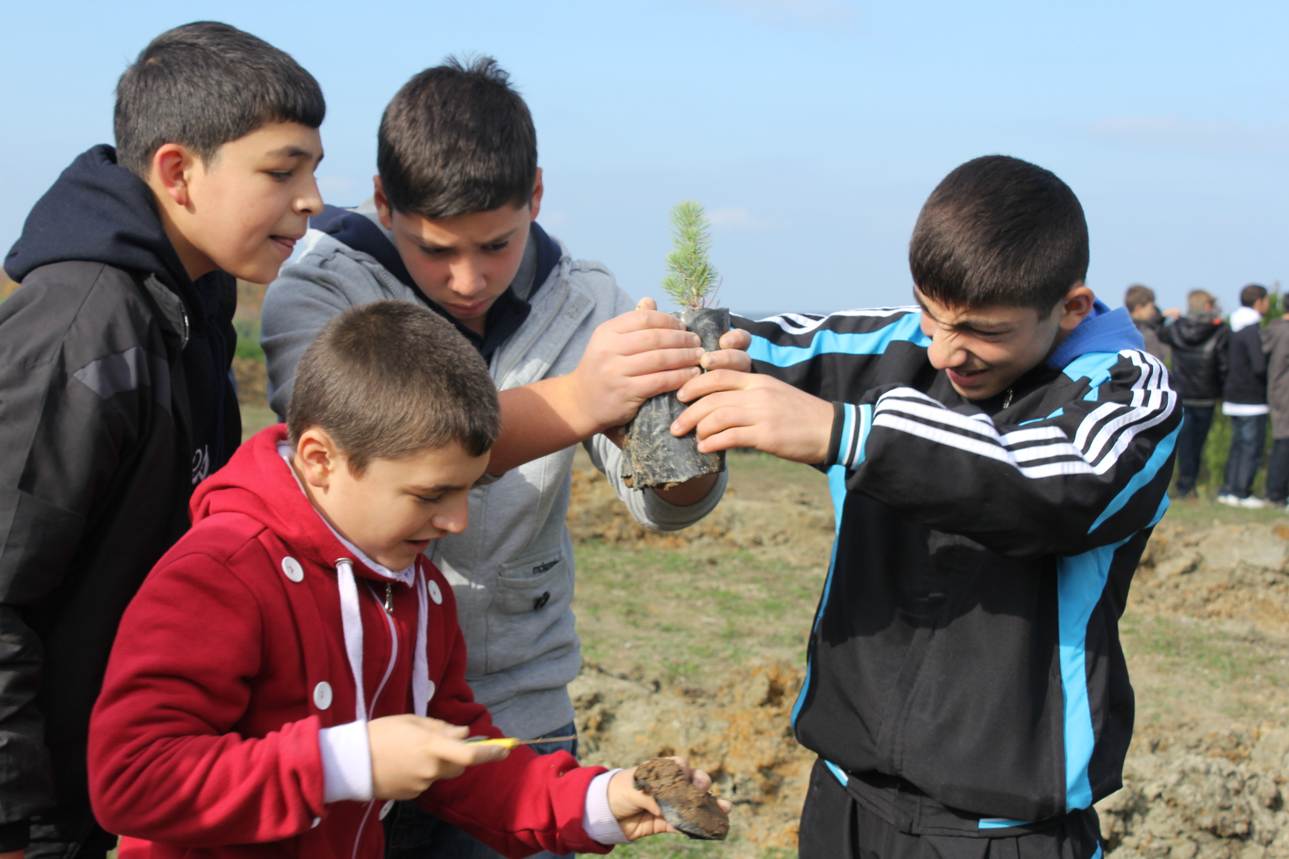 img_5263.20111123215138.jpg img_5263.20111123215138.jpg