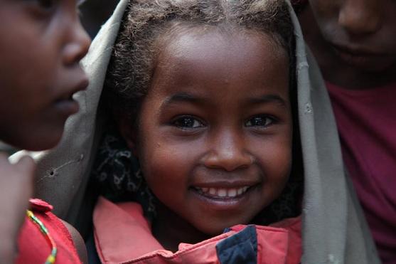 turtu2.jpg turtu2.jpg